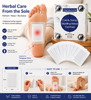 Patchs aux herbes pour les pieds, extrait de plantes traditionnelles, coussinets de soin des pieds, confort anti-froid et humidité, fournisseur OEM en gros
