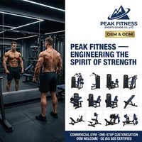 Equipo de Gimnasio Comercial: Máquina Integrada de Crossover con Cables, Montaje en Pared, Carga de Placas, Acero, para Ejercicios de Pecho y Piernas