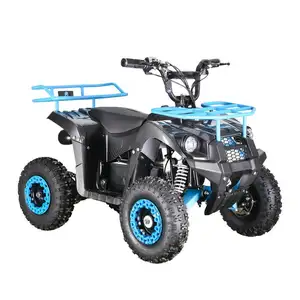 Quad bikes от производителя аккумуляторов четырехколесный электрический спортивный квадроцикл 500 Вт