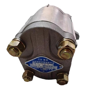 Bomba de engranajes WANKE CBW-F304/306/308/310/312/314/316/320/325/E///////318// - Product Image 1