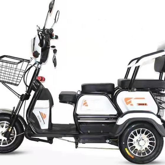 Factory direct sales, 600 watt high quality manned electric tricycles, electric bicycles