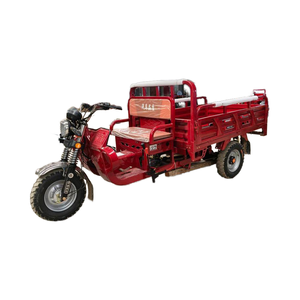 Triciclo de 200cc Más Vendido, Carro de Tres Ruedas con Carrocería Abierta/Cerrada para 2 Pasajeros - Product Image 6