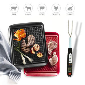 Handheld Double <span class=keywords><strong>Needle</strong></span> Digital Food Termômetro para Churrasco Personalizado Material ABS Meat Fork OEM ODM Suporte USB Comunicação - Product Image 4