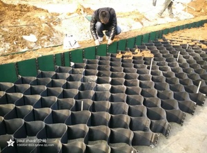 Stabilisateur de boue de contrôle de l'herbe, grille de renforcement de l'herbe pour cheval - Product Image 6