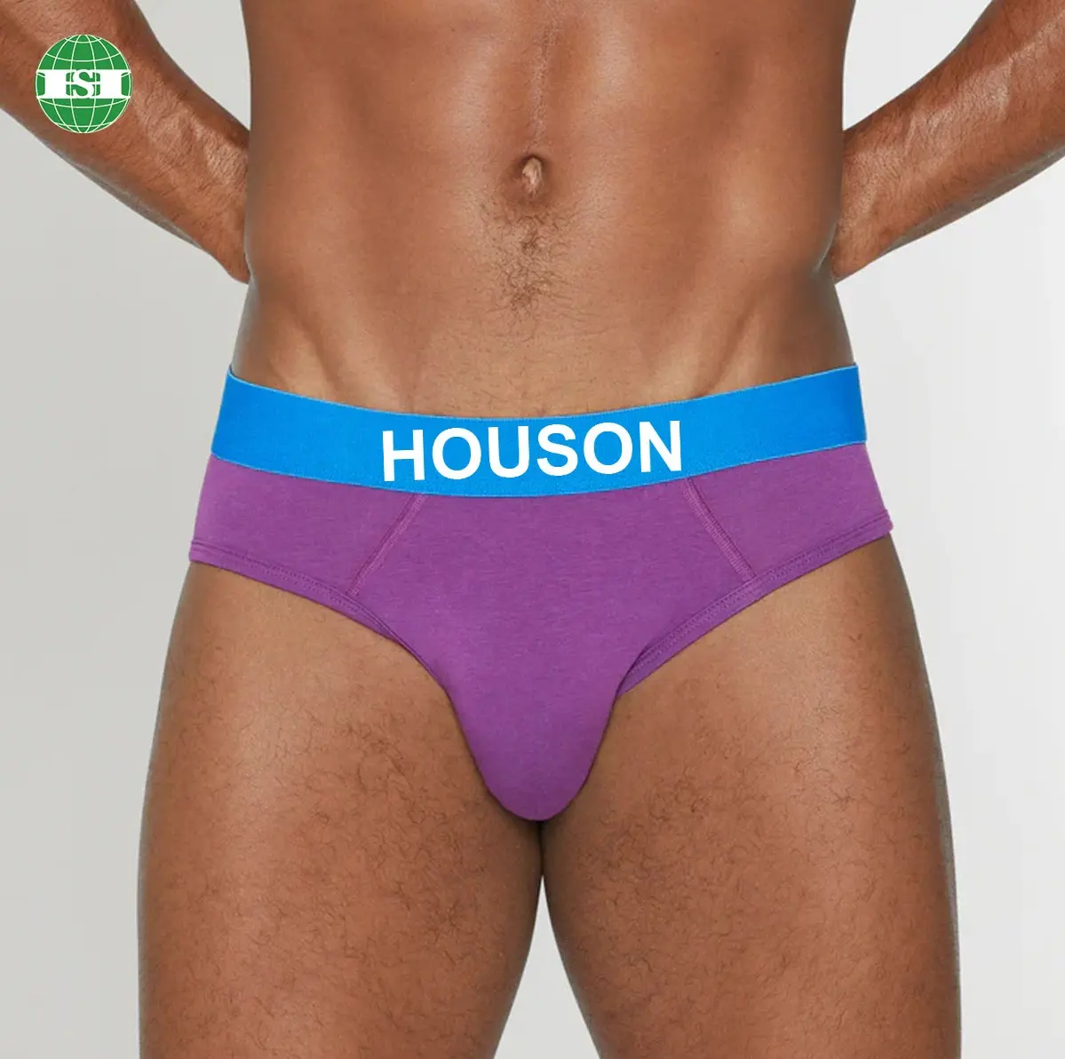 Customised jacquard logo waistband man underwear purple briefs 95% Micro Modal / 5% Elastane