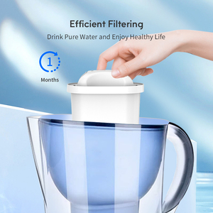 Filtre à carbone <span class=keywords><strong>actif</strong></span> manuel populaire pour pichet, très compatible 105731, augmente le pH, pour eau extérieure enrichie en fluorure - Product Image 4