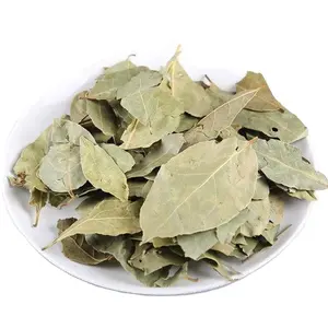 Best Quality High Production Natural bay leaves dried artificial laurel leaf feuille de laurier