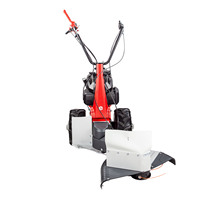 EUROSYSTEMS Débroussailleuse Minieffe avec moteur Briggs & Stratton inversé Tondeuse à gazon à brosse manuelle largement utilisée