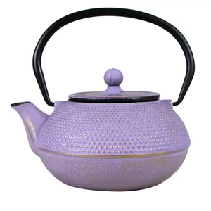 OEM design enamel cast iron teapot and kettles with removable infuser basket stainless steel filter