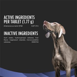 Suplementos <span class=keywords><strong>Pro</strong></span> <span class=keywords><strong>Plan</strong></span> FortiFlora, Probióticos Diarios para Perros, Tabletas Masticables, Salud Digestiva e Intestinal, Apoyo Inmunológico, Alivia la Diarrea - Product Image 5