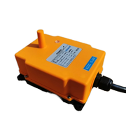 Sistema di Controllo Remoto Radio per Gru Elettronica HS-4 a 4 Canali e 1 Velocità, IP65, in Plastica, con Interruttore 10A 1NO