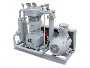 Compresseur d'air à gaz naturel de petite taille à conversion de fréquence, lubrification sans huile, type refroidi par air, courroie BT4 - Product Image 5