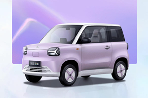 Chine pas cher nouvelle voiture 4 places hayon EV voiture 2024 Zhidou <span class=keywords><strong>arc</strong></span>-<span class=keywords><strong>en</strong></span>-<span class=keywords><strong>ciel</strong></span> 125Km 205Km nouvelle énergie véhicules électriques pour adulte - Product Image 3