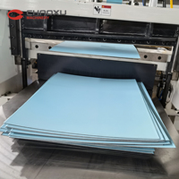 Ligne de production de bagages monocouche à vis unique en PC/PS/ABS avec composants de haute qualité