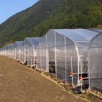 Serre tunnel agricole 6x12m à structure métallique gothique, serre polytunnel en polycarbonate pour fleurs