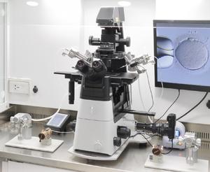 Microscópio-RC-ICSI FIV fertilização in vitro ou operação microscópica OLympus IX73 microscópica - Product Image 5