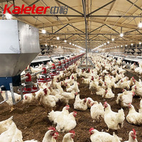 Système d'alimentation automatique pour poulets de chair, avec mangeoire motorisée, matériel d'élevage avicole pour fermes