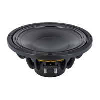 Haut-parleur néodyme B&C de 10 pouces pour systèmes audio de subwoofer intérieurs/extérieurs, système de sonorisation actif/passif, système de ligne acoustique