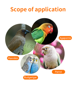 GA-2460 Bird Cage 4 Food Boxes Included Mix Color Thick Wire Parrot Cage - Product Image 3