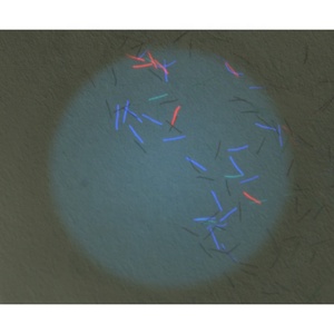 Tùy chỉnh giấy Watermark bảo mật với sợi bảo mật và sợi UV cho giấy chứng nhận - Product Image 5