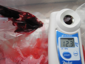 Trung Quốc HACCP BRC <span class=keywords><strong>iqf</strong></span> nho đen đông lạnh - Product Image 5