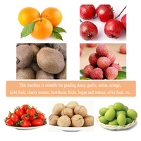6 grades de tri machine de tri de fruits kiwi cerise olive trieuse niveleuse machine