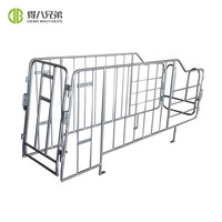 Caja Individual Para Cerdo En Granja De Tubo De Acero Casa De Gestacion Minorista