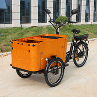 CE New EU Standards Trike EU Electric Tricycle <strong>Sidecar</strong> Electric Cargo Bicycle E Bike Bakfiet Trailer E-cargo Bike 6-Speed Gears