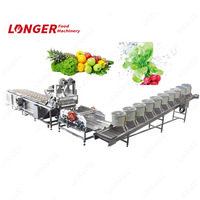 Commerciële Verwerking Machine Fruit En Groente Wassen Apparatuur Fabrikanten In India