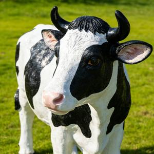 Escultura de Vaca de Dibujos Animados de Resina para Exteriores, Moderna, Ecológica, al Mejor <span class=keywords><strong>Precio</strong></span>, Personalizada, de Tamaño Real, para Parques, Granjas y Jardines de Infancia - Product Image 3