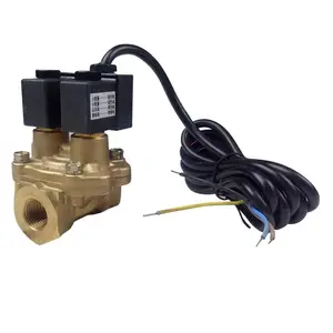 230V Diesel Gasoline Fuel Dispenser Brass Solenoid Valve thread type G3/4" 1"