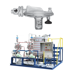 Paquete de montaje deslizante con regulador de presión de <span class=keywords><strong>gas</strong></span> combustible FISHER T205 reguladores de inertización de tanque regulador de <span class=keywords><strong>gas</strong></span> con premio de dispositivo - Product Image 1