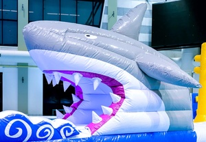 Parcours d'obstacles aquatiques gonflables géants <span class=keywords><strong>pour</strong></span> adultes et enfants, avec toboggan, <span class=keywords><strong>pour</strong></span> piscine d'été - Product Image 6
