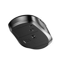 Souris sans fil haut de gamme Conception ergonomique pour ordinateurs portables Ordinateurs de bureau Usine Nouveau Style Souris
