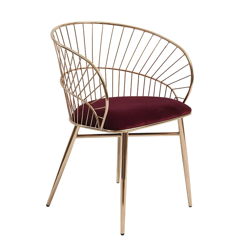 İskandinav metal salon kanepe sandalye modern lüks oturma odası mobilya zarif eğlence Accent sandalye