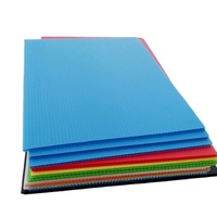 Feuille colorée de sortie d'usine 2mm 3mm 4mm 5mm 6mm panneau de feuille de plastique ondulé pp feuilles ondulées