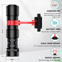 Microphone professionnel haute fidélité de type shotgun, mini-micro avec suspension antichoc et bonnette anti-vent en fourrure pour l'enregistrement en studio YouTube TikTok