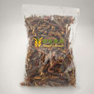Insectos Secos, Saltamontes Secos, Alimento para Aves y Pollos con Alto Contenido de Proteínas y Nutrientes - Product Image 5