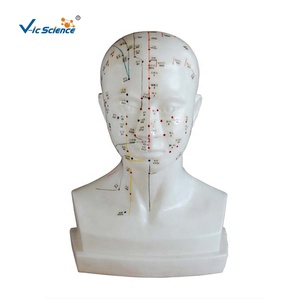 Modello <span class=keywords><strong>di</strong></span> agopuntura della testa a grandezza naturale per la <span class=keywords><strong>formazione</strong></span> <span class=keywords><strong>e</strong></span> l'<span class=keywords><strong>educazione</strong></span> nelle <span class=keywords><strong>scienze</strong></span> mediche - Product Image 1