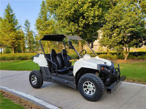 Buggy 2 places, buggy UTV, essieu UTV, pas cher - Product Image 3