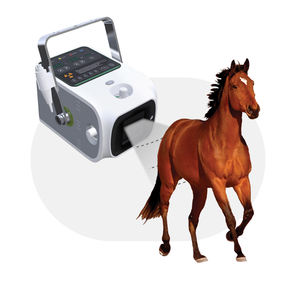 Sistema di Imaging a raggi X digitale portatile per il monitoraggio veterinario rilevatore a schermo piatto macchina <span class=keywords><strong>DR</strong></span> per il bestiame cavallo cure veterinarie - Product Image 1