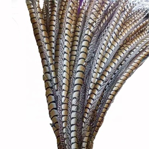 Chất Lượng Cao Màu Sắc Tự Nhiên Brazil Carnival Lady Amherst Lông Chim Trĩ 110-120 Cm (44-48 Inch) cho Biểu Diễn - Product Image 1
