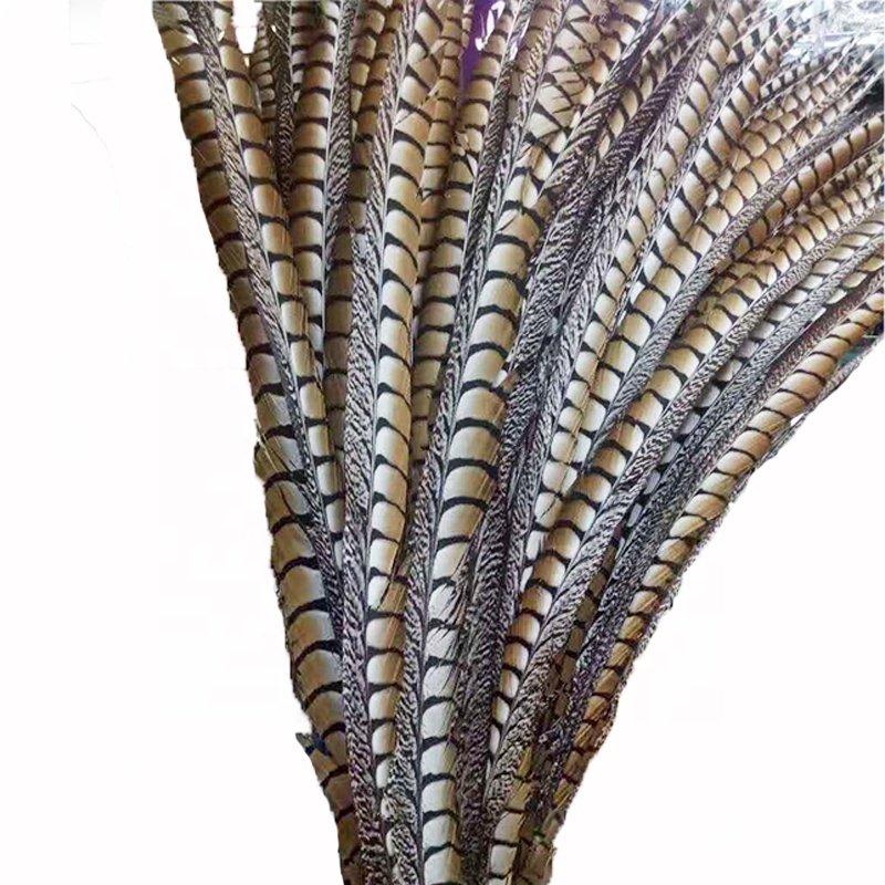Wholesale Artificial Reeves Pheasant Tails Feathers