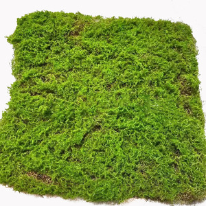 Panneau mural en mousse artificielle 30x30cm, décoration intérieure pour mariage, verdure en plastique persistante - Product Image 3