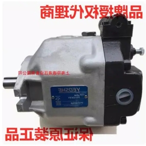 Pompa a pistoni YEOSHE AR16FR01CK10Y BKY 22Y Y - Product Image 1