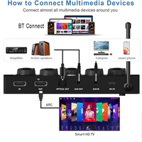 Karaokesysteem Professionele draagbare UHF draadloze microfoonmixerontvanger Crystal Sound Connect Smart TV PC Mobiele telefoon Metaal