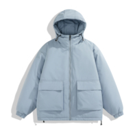 Plume de canard chaude et légère à prix abordable logo personnalisé vestes d'hiver à capuche en nylon noir en duvet pour hommes