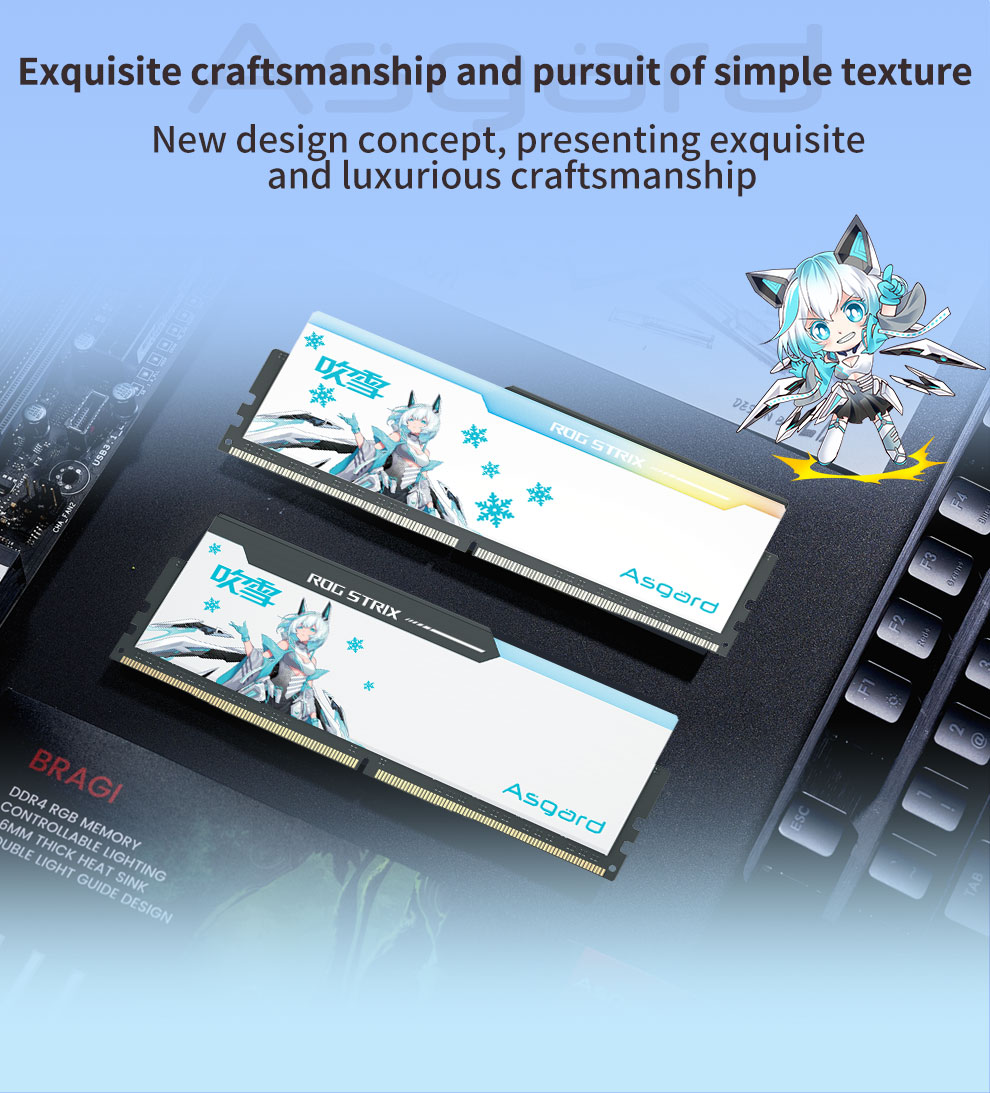 Asgard ROG DDR5 32GB (16GBx2) RAM for Desktop - Supports 6000/6400