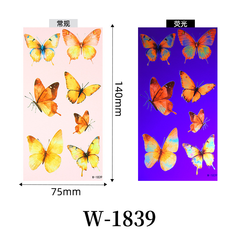 W-1839-75*14cm troquel