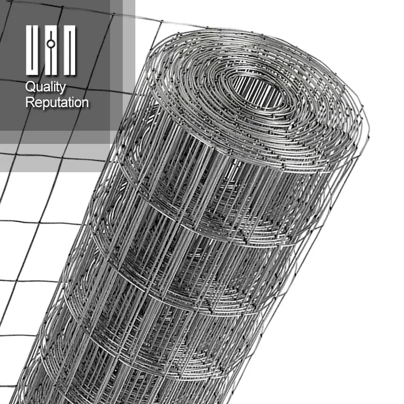 Galvanized Hexagonal Wire Mesh For Chicken Pets With Dia 0.8mm
